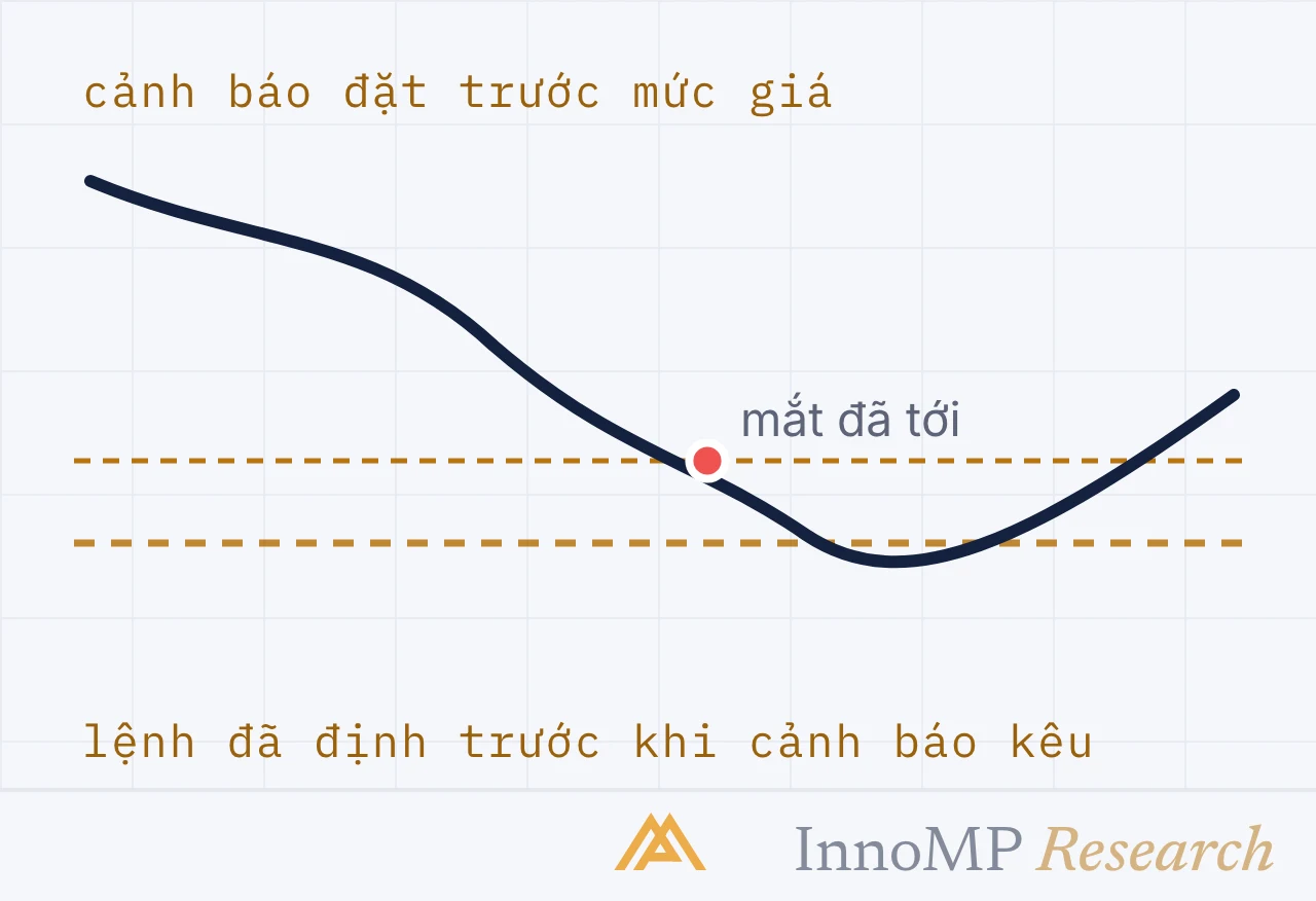 Ảnh bìa minh họa InnoMP Research — định trước khi chuông reo